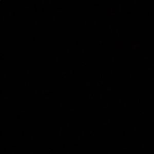 Meet your Posher, Gavin